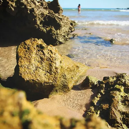 Appartement Prata Azul